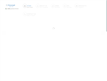 Tablet Screenshot of conceptqalabs.com